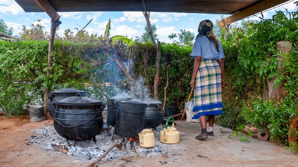 Woman cooking with biomass 